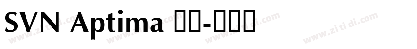 SVN Aptima 常规字体转换